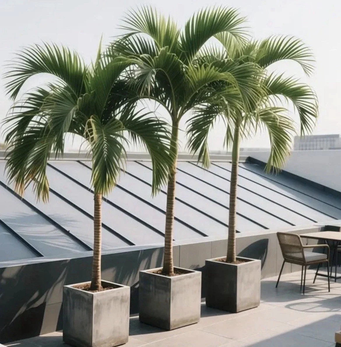 48 Large Leaves Artificial Outdoor Palm Tree Easy To Assemble Suitable For Home